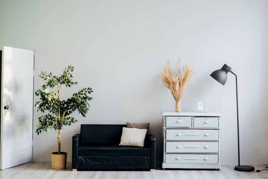 Salon moderne avec plantes et coussins colorés.